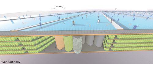 Ryan Connolly, Fertile Crescent: Symbiotic Ecologies, Dubai, Ras Al Khor Wildlife Sanctuary, algae, biofuel, LAGI2010, Land Art Generator Initiative, green design, energy-generating art