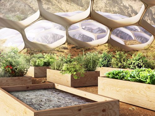 Baharash Architecture, biodomes, UAE, solar, wind, renewables, bioclimatic design, green design, eco-tourism, renewable energy, recycling, greywater recycling, prefabricated design, passive cooling, Baharash Bagherian, sustainable architecture