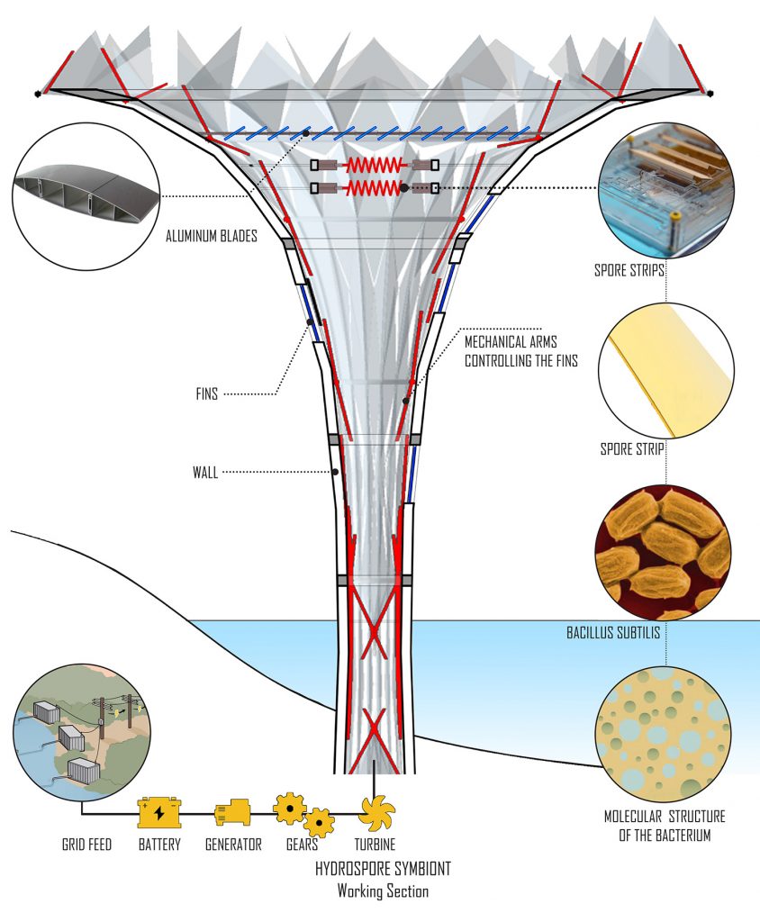LAGI 2018, evaporation, Bacillus subtilis, Ozgur Sahin, research, clean energy, renewable energy, Hydra-Spore, Midori Architects, India, St Kilda, City of Port Phillip, Melbourne, Australia,