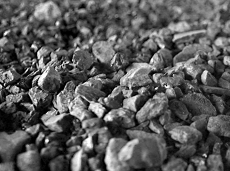 biomass, Biofuel, Solids