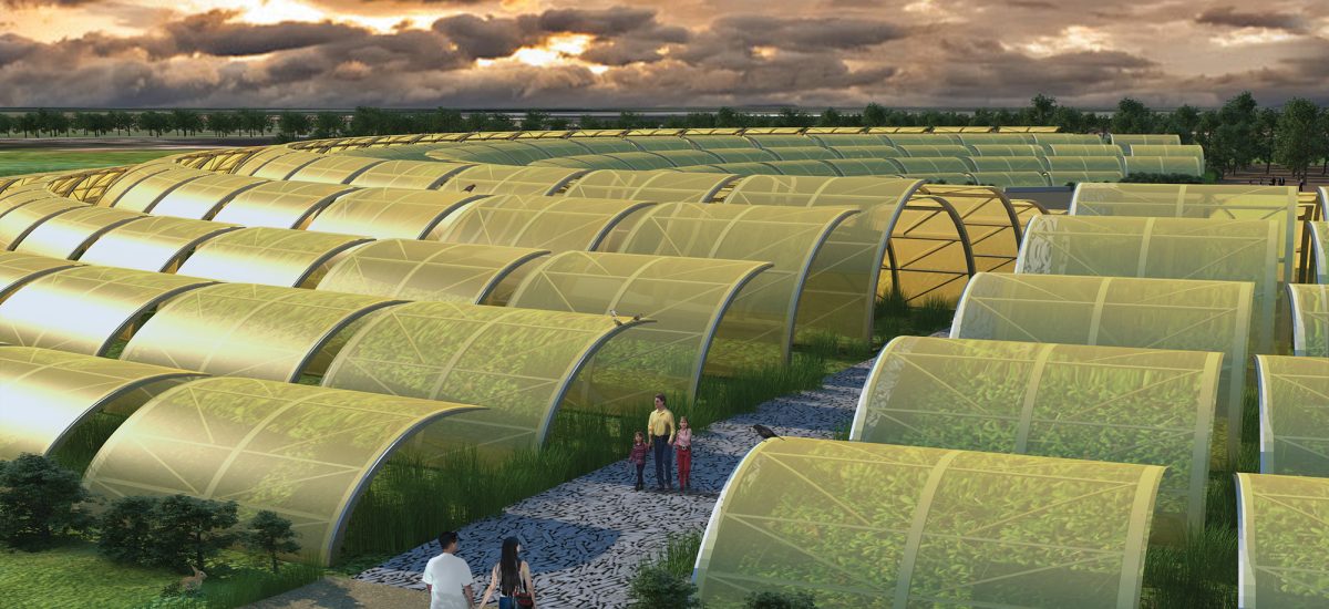 Rows of yellow canopies form a circle and protect a community garden.