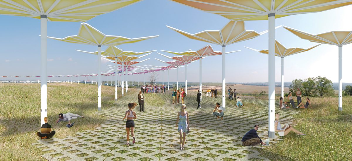 Flower-shaped umbrellas open to collect energy from the sun and provide shade for people in the park below.