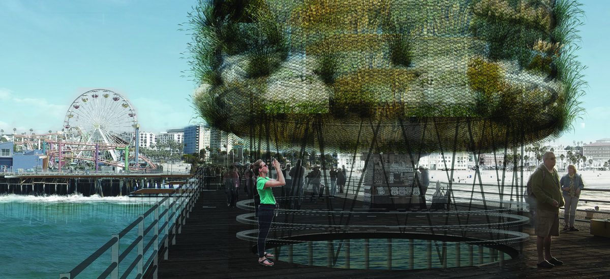 Noctilucales Noctilucales preserves the horizon line of the ocean—the clean and uninterrupted view, where the sea stretches out before you until it meets the sky.