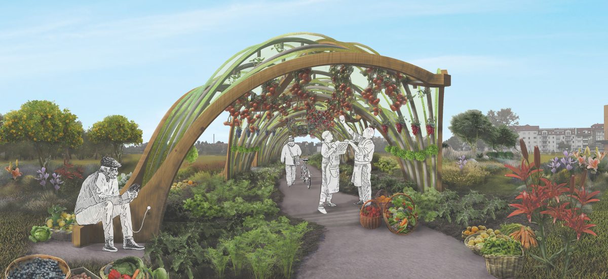 Cropergy is composed of basic petal modules that allow plants to grow from the ground and climb up toward the sun. The modules are made of laminated timbers produced from renewable wood that can be grown rapidly within Spinelli Park.