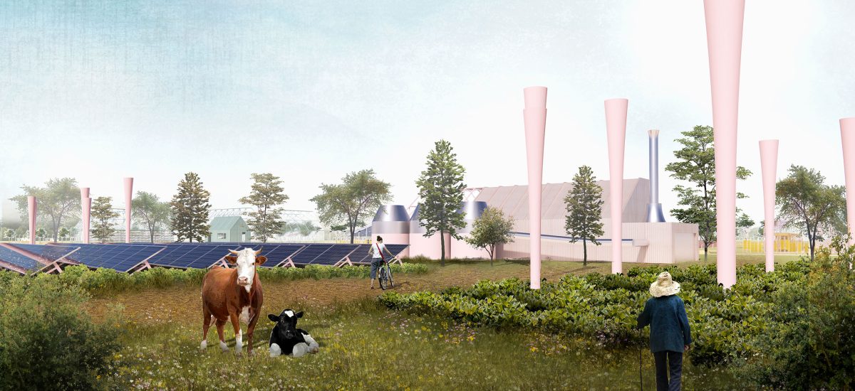 Energy Circus is designed with an inventory of SEEDs (Socio-Ecological Energizing Devices) to support a holistic ecosystem.